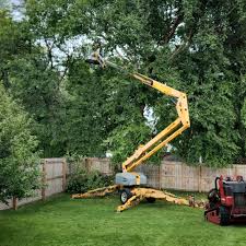 Trusted Flagler Estates, FL Tree Removal and Landscaping Services Experts